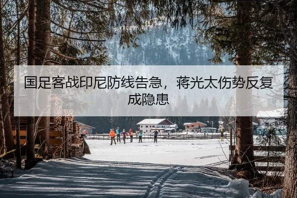 国足客战印尼防线告急，蒋光太伤势反复成隐患 | PG
